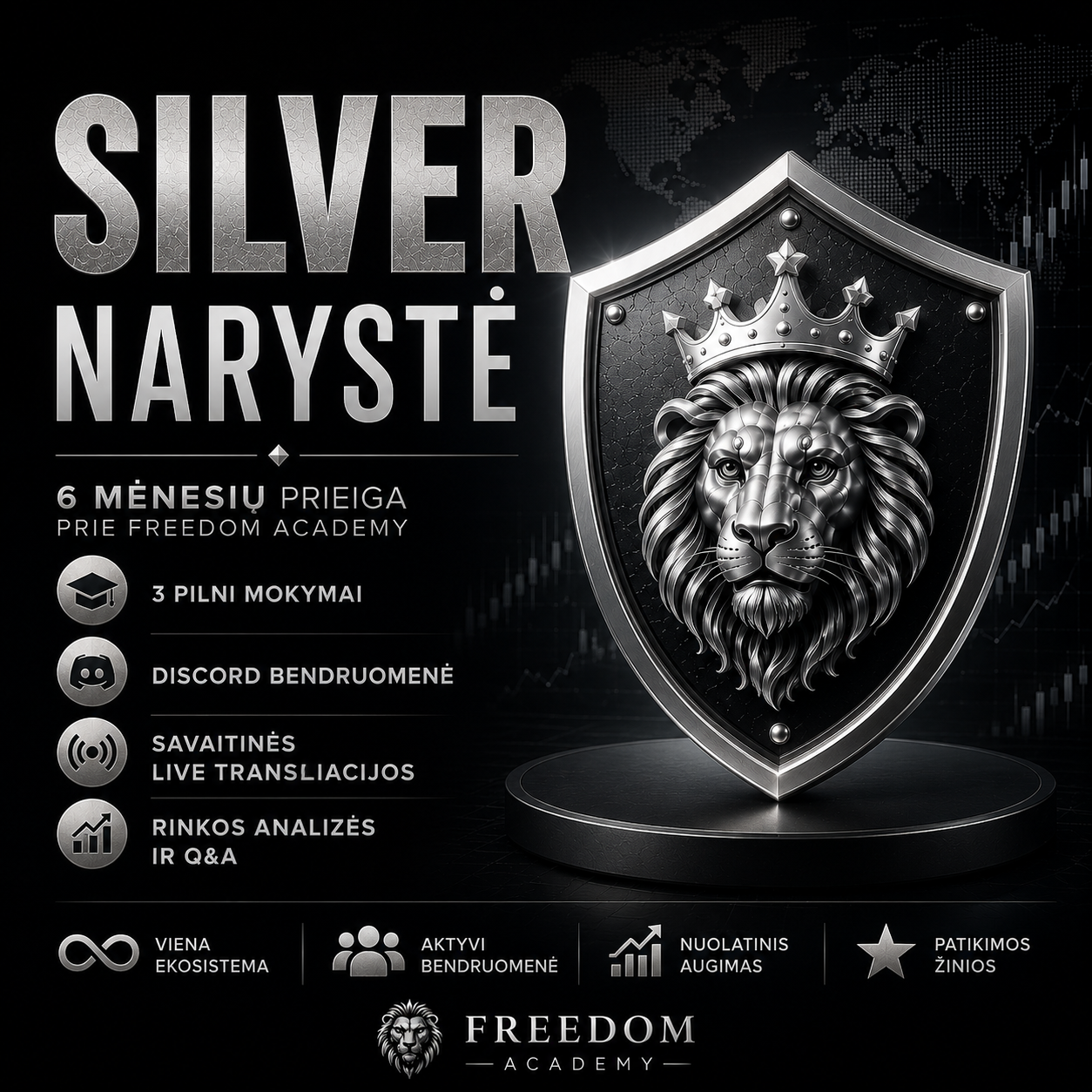 Freedom Academy SILVER Narystė